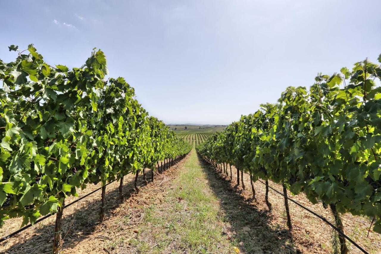 Agriturismo Terra Rossa Valiano Exterior photo